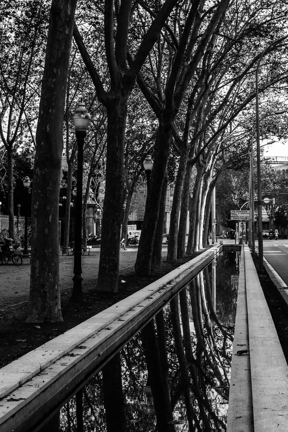 Fotografía de Juan Verdera Medrano — 16