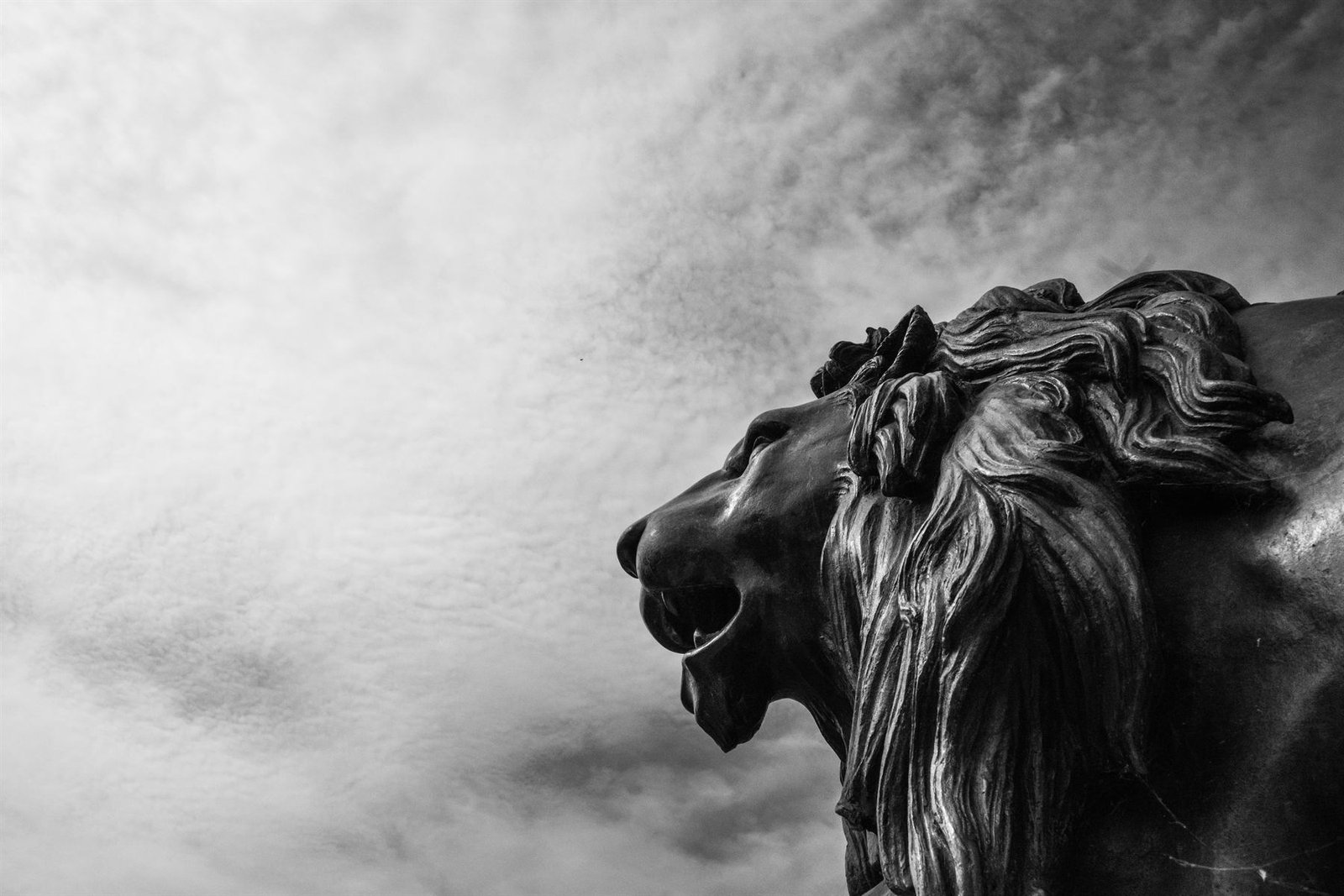 Fotografía de Juan Verdera Medrano — 20